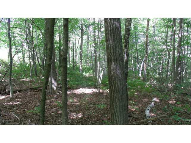 Tbd Adams Road Jay, ME 04239 - Photo 3 of 14 Land/Lot.
