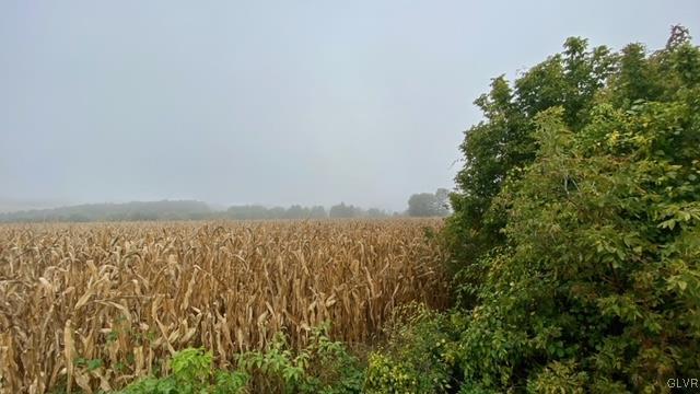 385 Woodridge Road Kunkletown, PA 18058 - Photo 1 of 11 Beautiful flat lot currently used for farming.