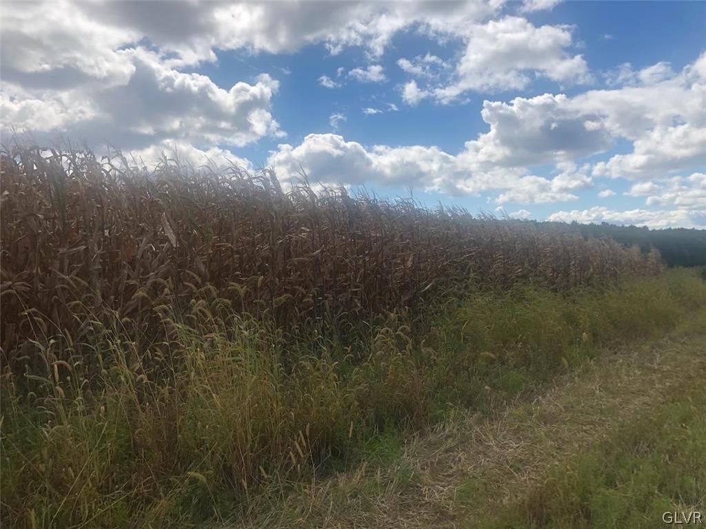 385 Woodridge Road Kunkletown, PA 18058 - Photo 4 of 11 Beautiful flat lot currently being farmed.