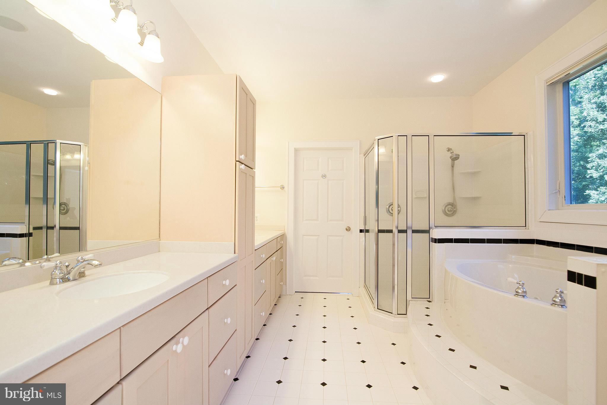 39436 Rodeffer Road Lovettsville, VA 20180 - Photo 13 of 30 Large Master Bath w/Double Vanity & Double Shower