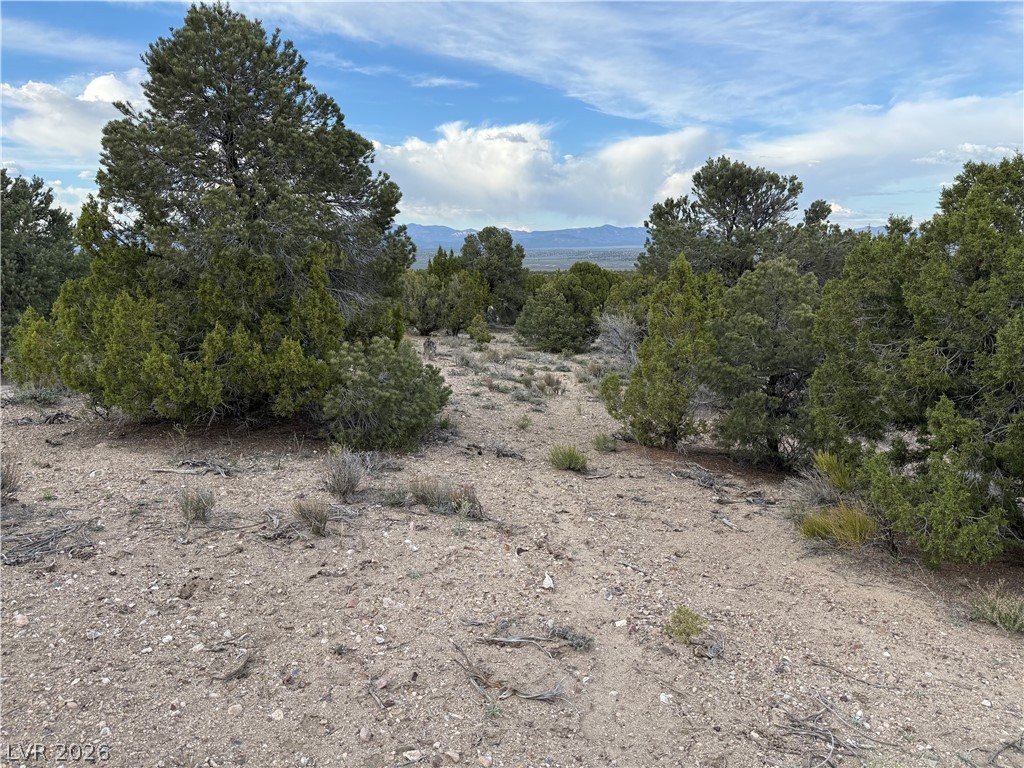0 Timber Crest Way Pioche, NV 89043 - Photo 6 of 9
