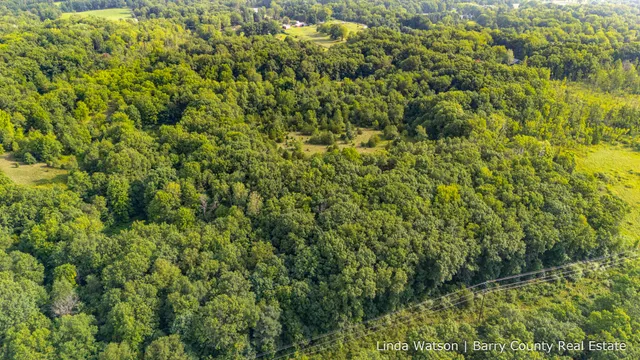 $349,999 | V/l V/l M-179, Hastings, MI 49058