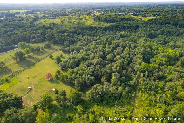 $349,999 | V/l V/l M-179, Hastings, MI 49058