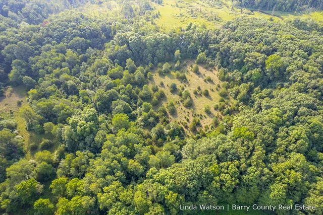 $349,999 | V/l V/l M-179, Hastings, MI 49058