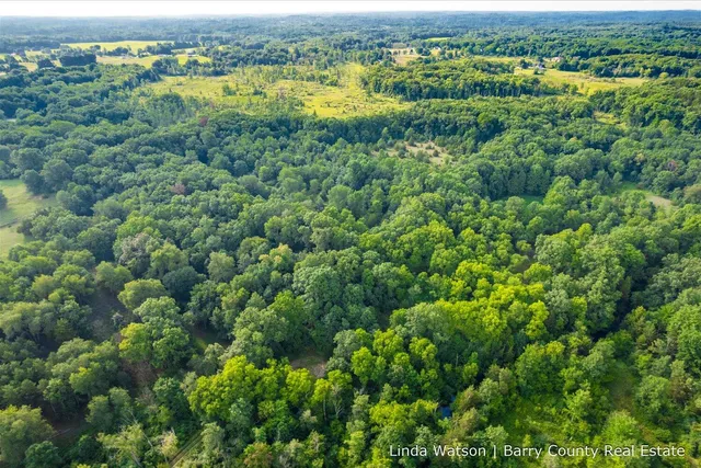 $349,999 | V/l V/l M-179, Hastings, MI 49058