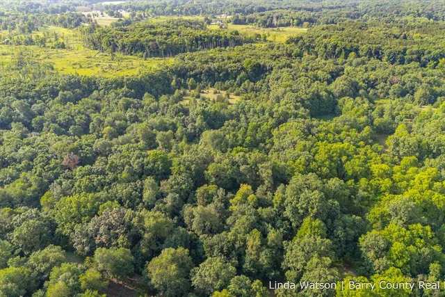 $349,999 | V/l V/l M-179, Hastings, MI 49058