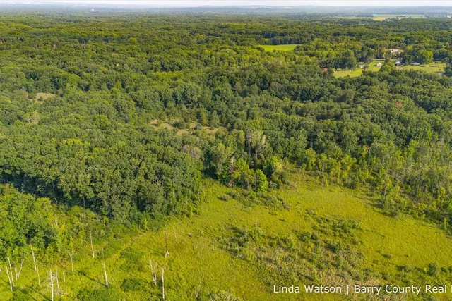 $349,999 | V/l V/l M-179, Hastings, MI 49058