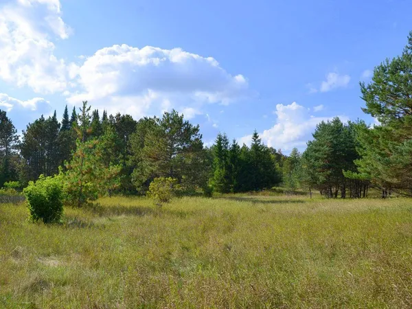$44,900 | Def East River Drive, Park Rapids, MN 56470