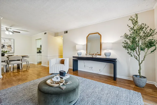 a living room with furniture and a potted plant
