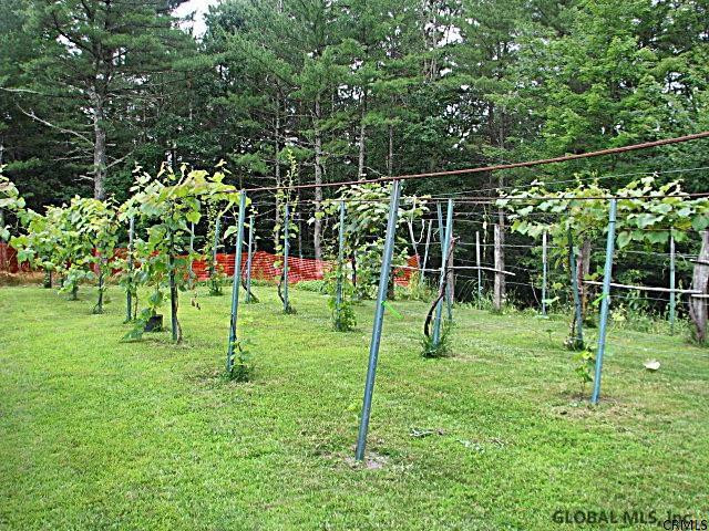 268 Stanton Road Jackson, NY 12873 - Photo 21 of 25 Photo 21