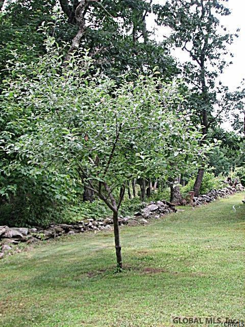 268 Stanton Road Jackson, NY 12873 - Photo 24 of 25 Photo 24