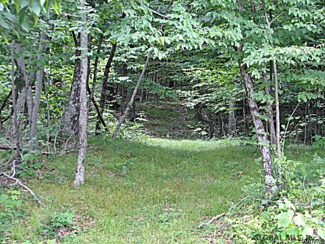 268 Stanton Road Jackson, NY 12873 - Photo 25 of 25 Photo 25