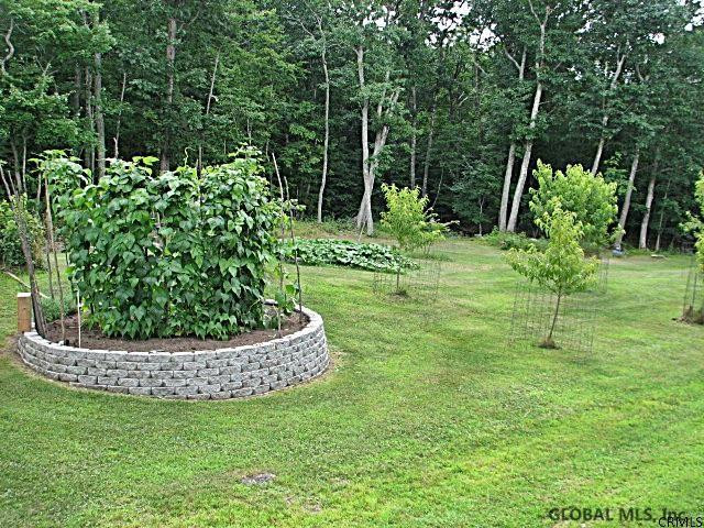 268 Stanton Road Jackson, NY 12873 - Photo 3 of 25 Photo 3