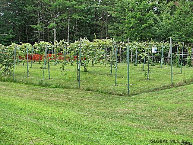268 Stanton Road Jackson, NY 12873 - Photo 4 of 25 Photo 4