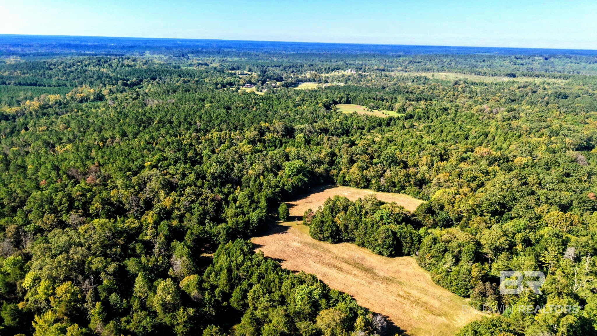 0 Highway 17 Millry, AL 36558 - Photo 47 of 73 Gallery Image 47