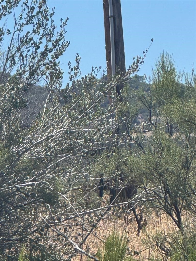 0 Upper Tule Road Anza, CA 92539 - Photo 2 of 9