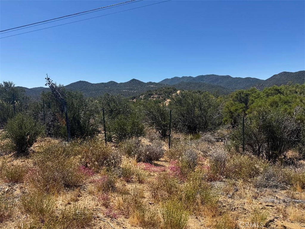 0 Upper Tule Road Anza, CA 92539 - Photo 5 of 9
