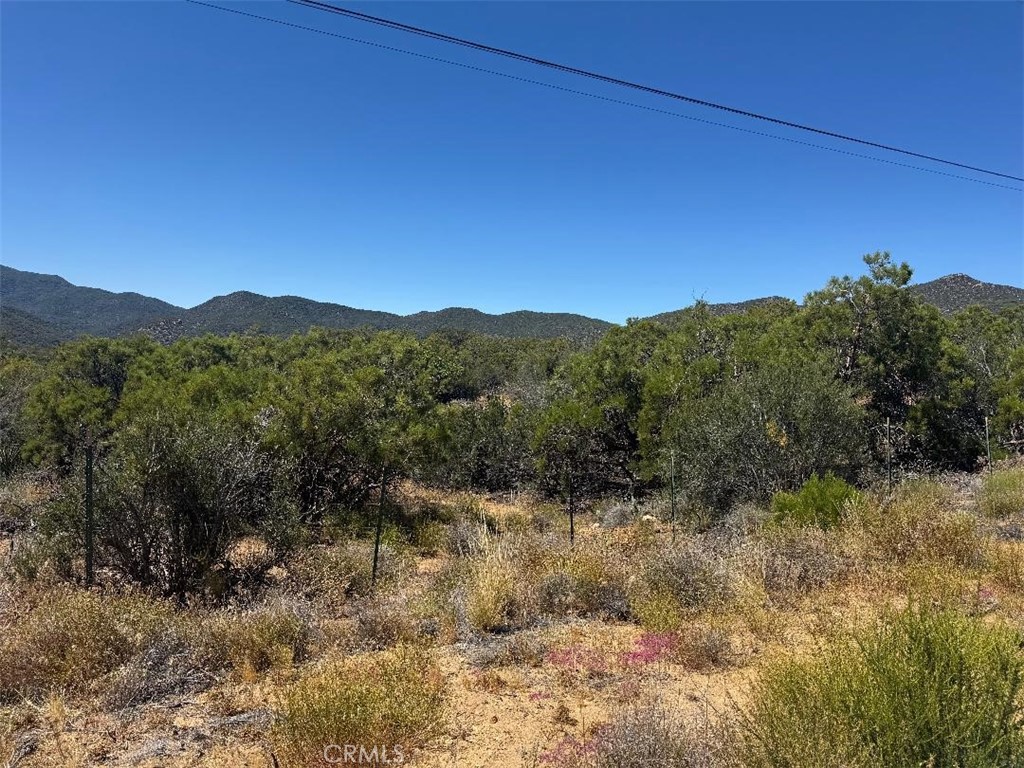0 Upper Tule Road Anza, CA 92539 - Photo 7 of 9