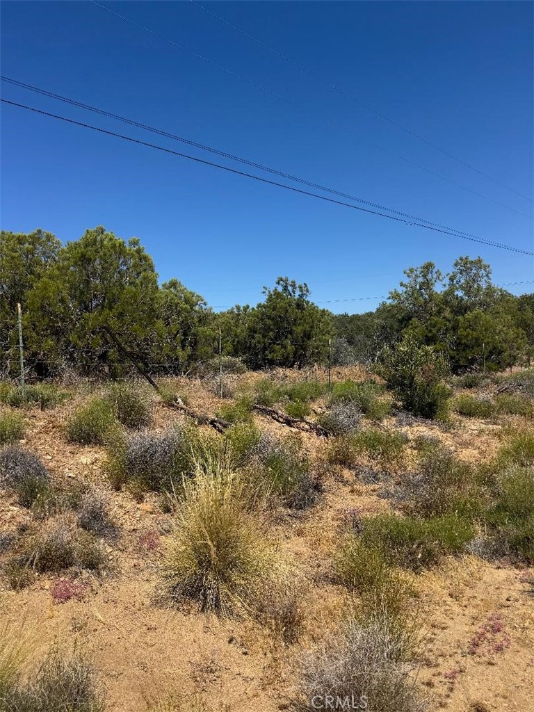 0 Upper Tule Road Anza, CA 92539 - Photo 8 of 9