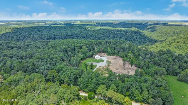 a view of a lush green outdoor space with a swimming pool and valleys in the background
