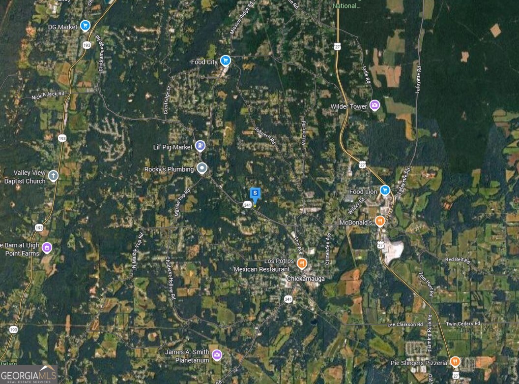 71 Lail Road Chickamauga, GA 30707 - Photo 4 of 6