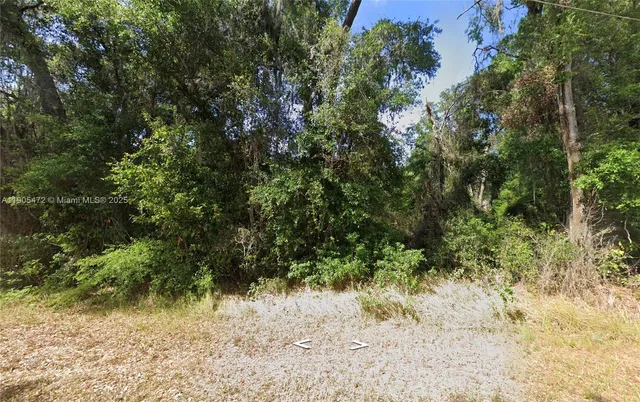 a view of a yard with a tree
