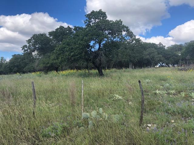 1780 Reeh-Weinheimer Road Fredericksburg, TX 78624 - Photo 1 of 1 Main View