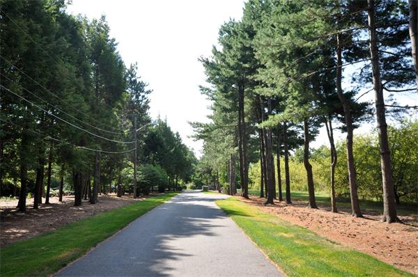 221 Old Littleton Road Harvard, MA 01451 - Photo 20 of 30 Gallery Image 20