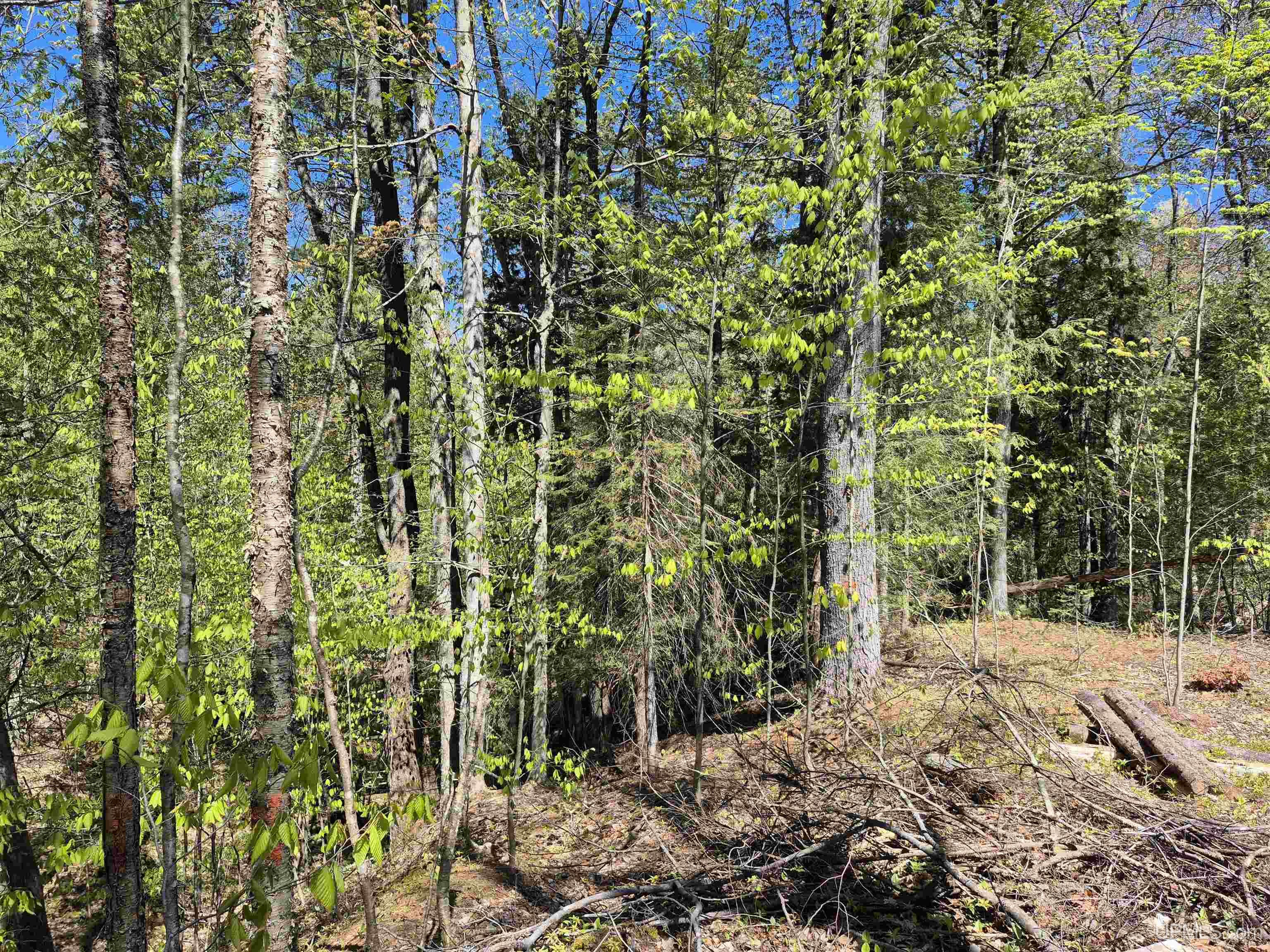 South 8-acres Perch Lake Road Munising, MI 49862 - Photo 15 of 44 Gallery Image 15