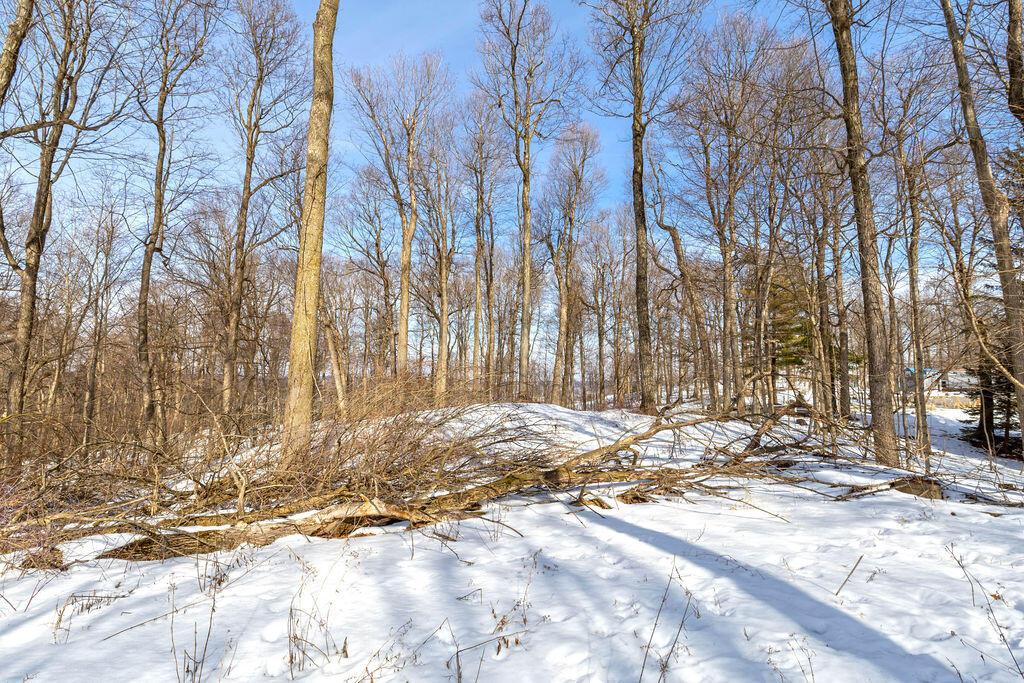 0 Eaglenest Road West Liberty, OH 43357 - Photo 10 of 45