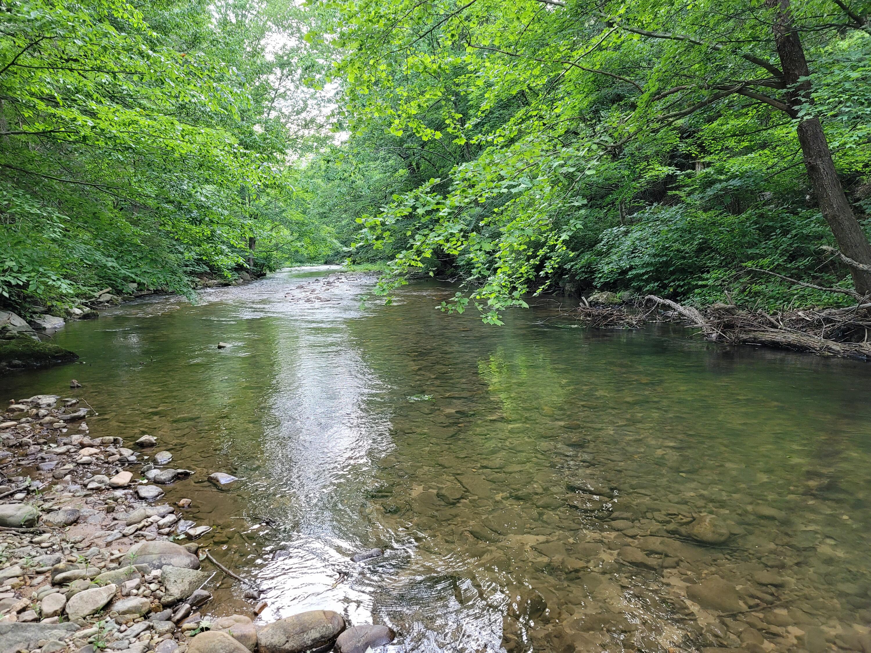 301 Stamper Road Erwin, TN 37650 - Photo 59 of 66 20220606_191327