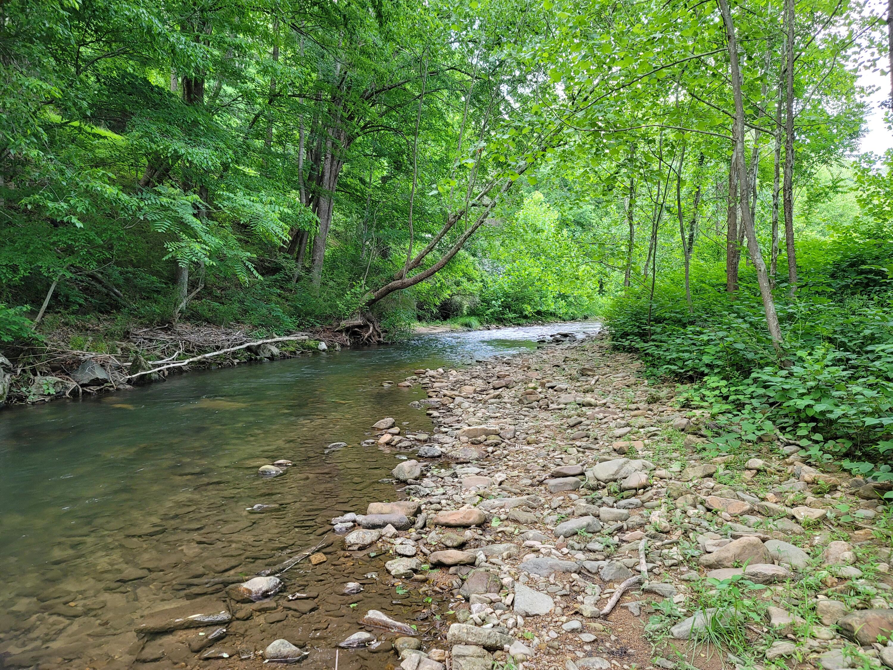 301 Stamper Road Erwin, TN 37650 - Photo 8 of 66 20220606_191323