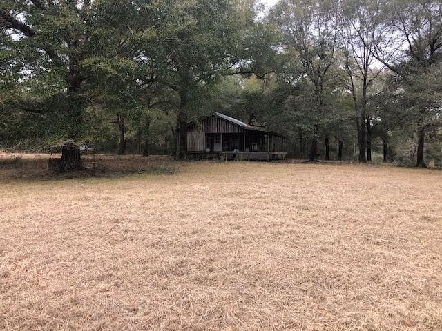 163.38-ac Cravey Bridge Road Florala, AL 36442 - Photo 3 of 49 Gallery Image 3