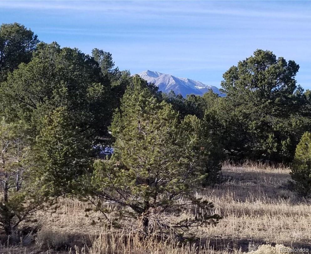 10768 Sawatch Range Road Salida, CO 81201 - Photo 8 of 14 Gallery Image 8