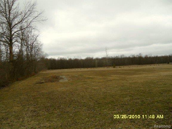 65719 Haven Ridge Road New Haven, MI 48050 - Photo 11 of 14 back yard-mfsopt