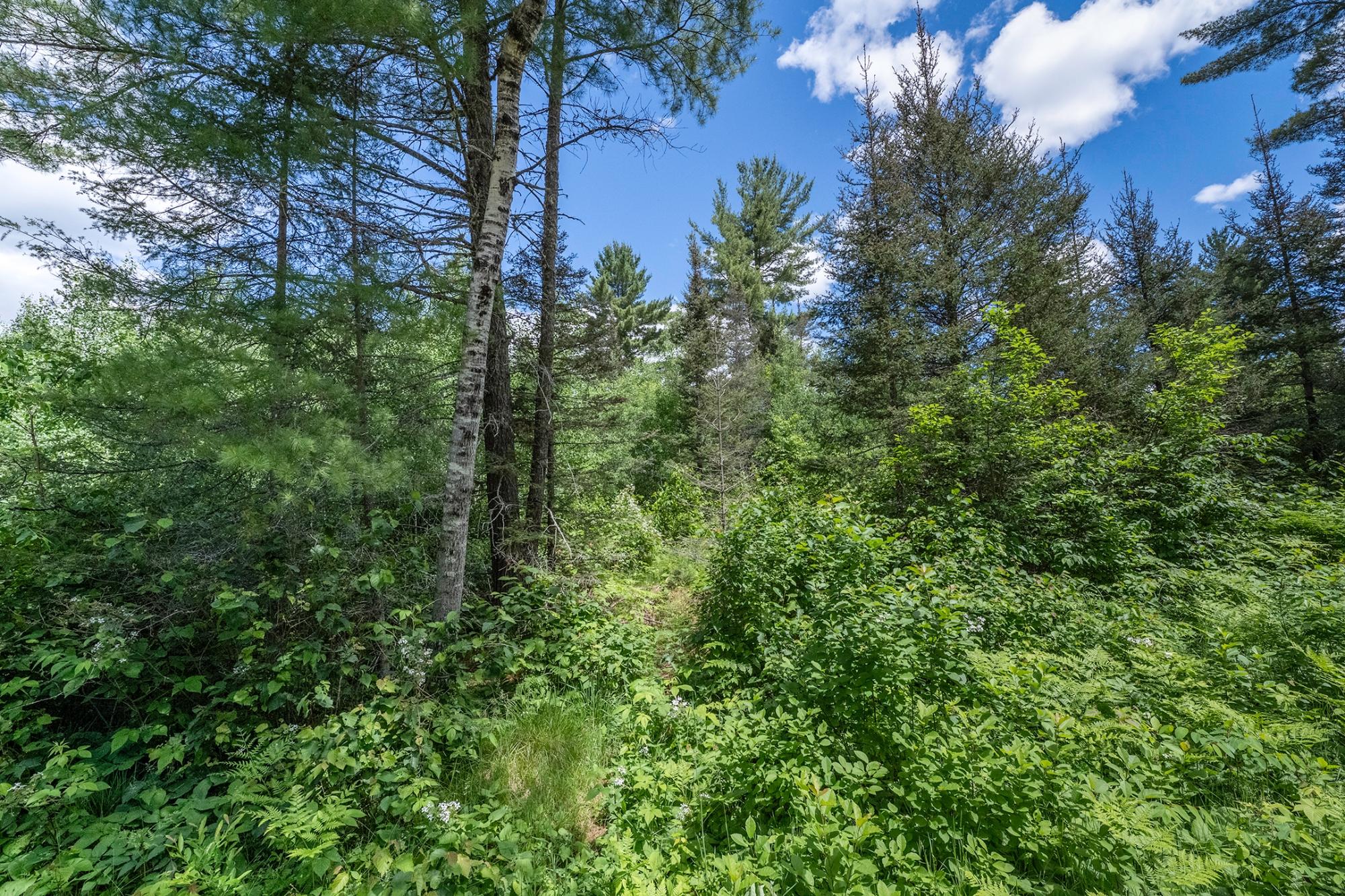 Off Deerskin Road, Unit 7 Eagle River, WI 54521 - Photo 2 of 40 Gallery Image 2
