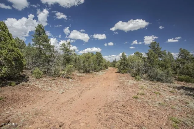 $2,000,000 | 1200 West Airport Road, Unit 96FI, Payson, AZ 85541