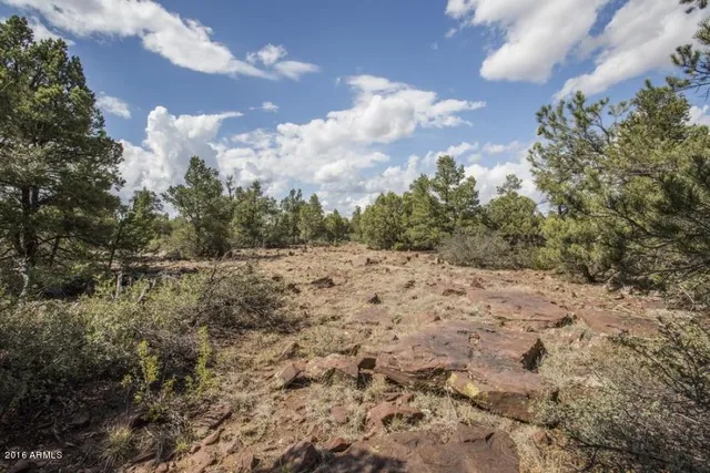 $2,000,000 | 1200 West Airport Road, Unit 96FI, Payson, AZ 85541