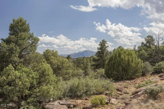 $2,000,000 | 1200 West Airport Road, Unit 96FI, Payson, AZ 85541