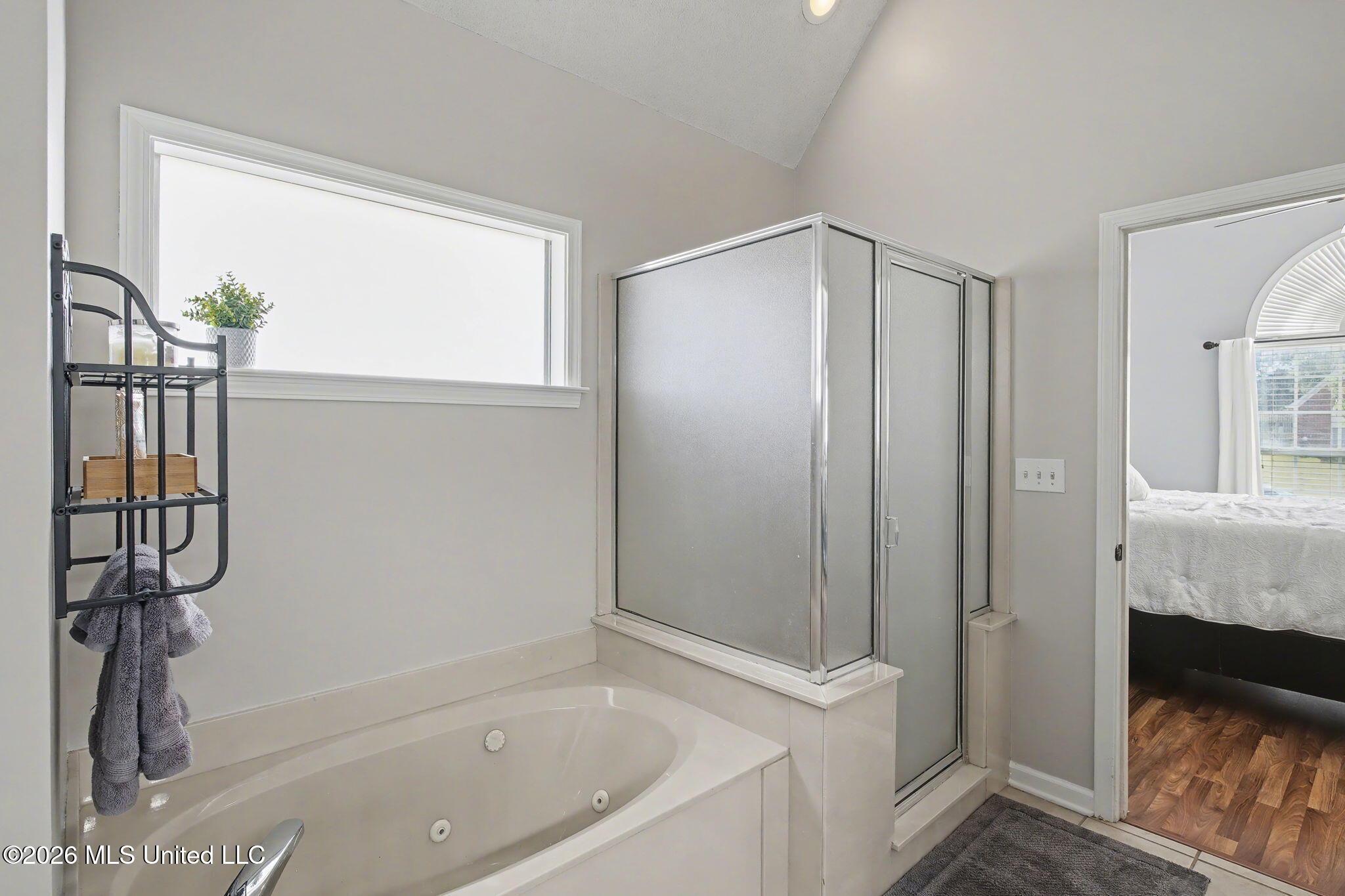 7740 Meadow Ridge Lane Olive Branch, MS 38654 - Photo 18 of 40 Primary bathroom