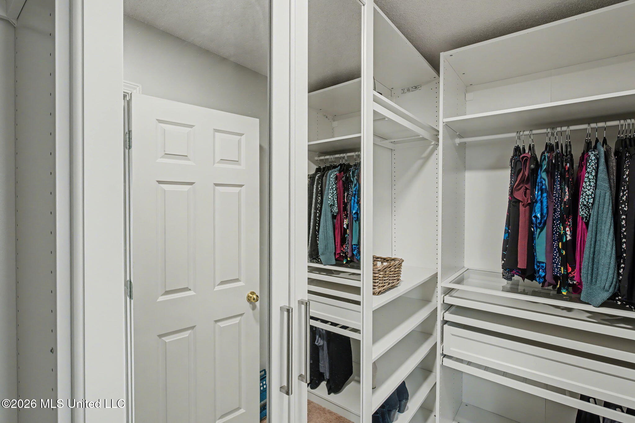 7740 Meadow Ridge Lane Olive Branch, MS 38654 - Photo 21 of 40 Primary - Walk-in closet