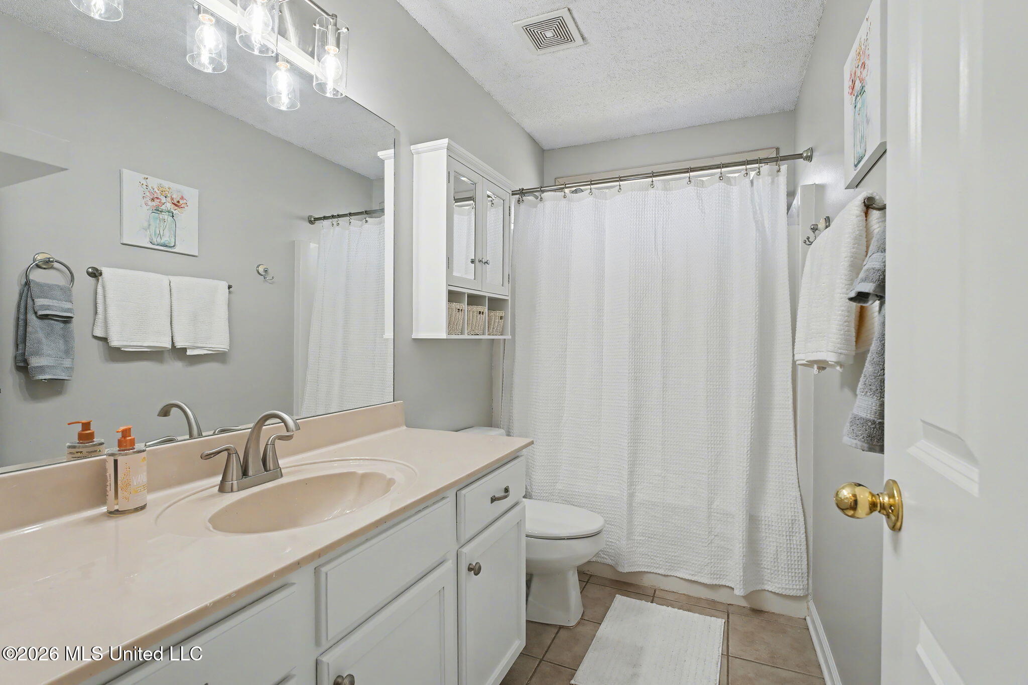 7740 Meadow Ridge Lane Olive Branch, MS 38654 - Photo 24 of 40 Bathroom 2