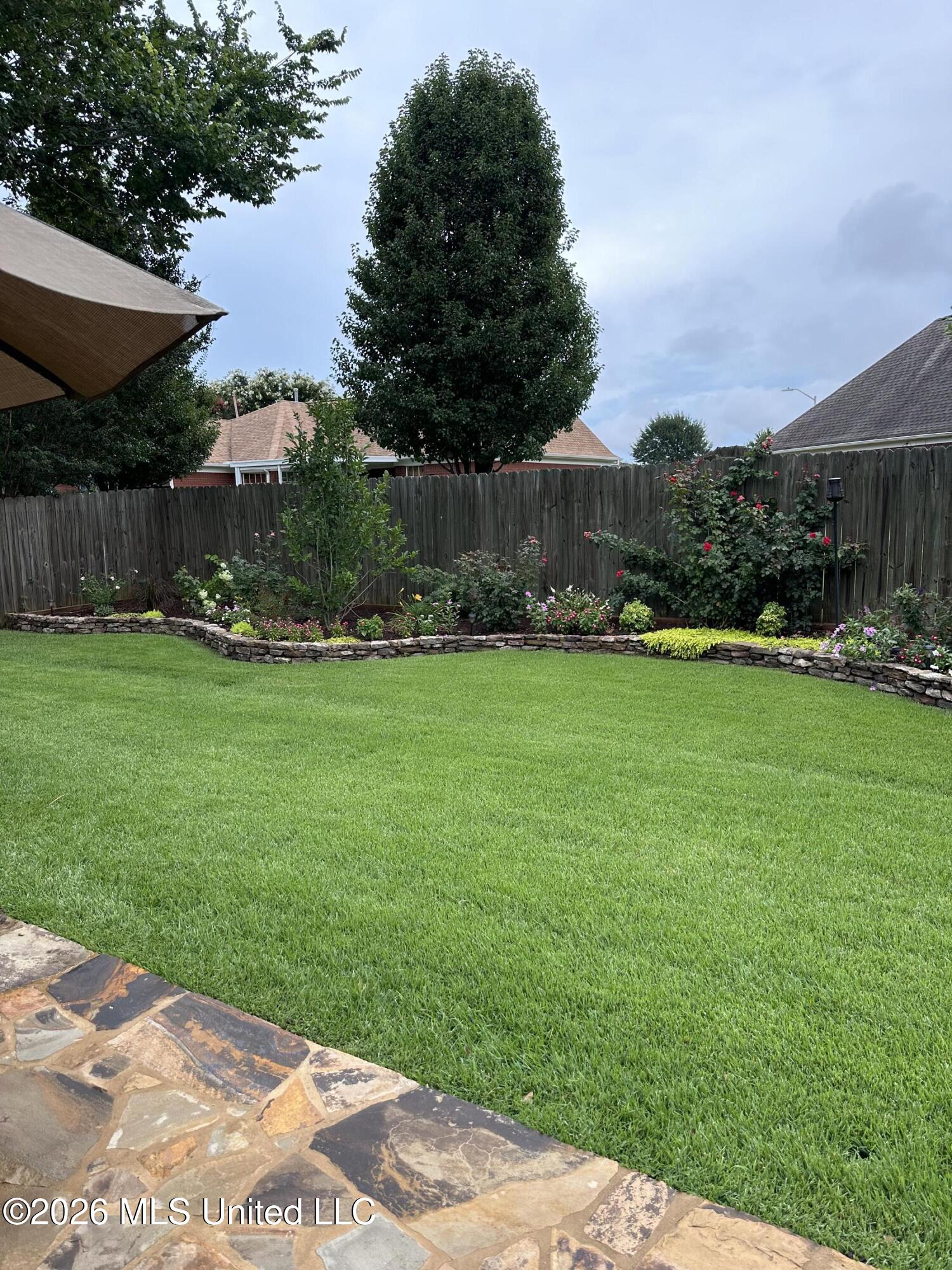 7740 Meadow Ridge Lane Olive Branch, MS 38654 - Photo 32 of 40 backyard