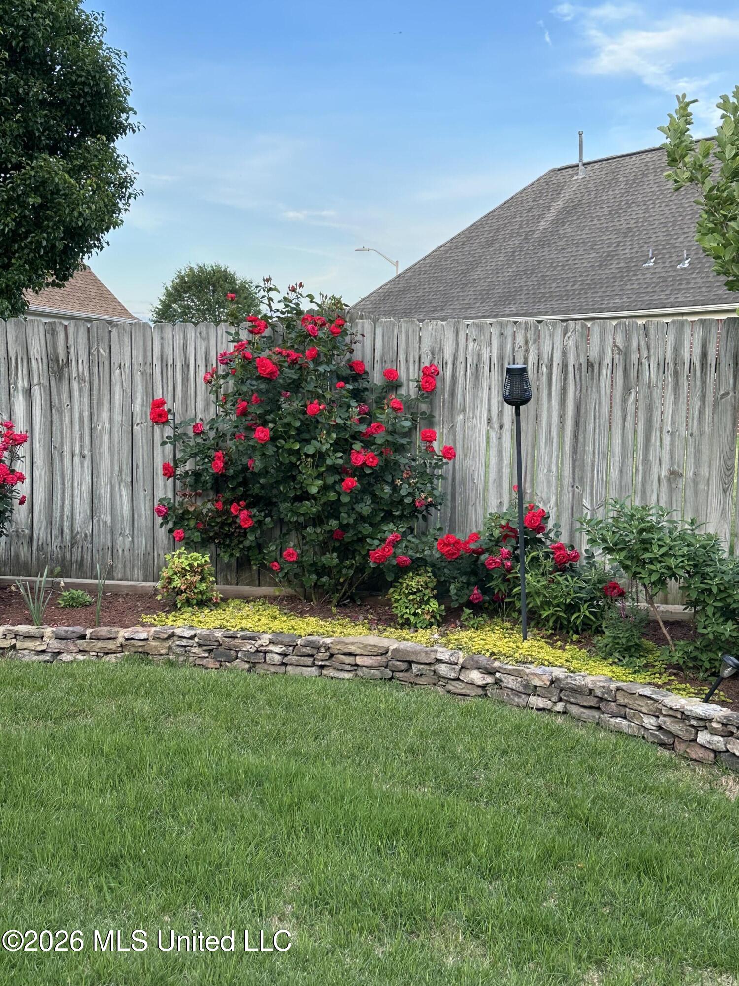7740 Meadow Ridge Lane Olive Branch, MS 38654 - Photo 33 of 40 backyard