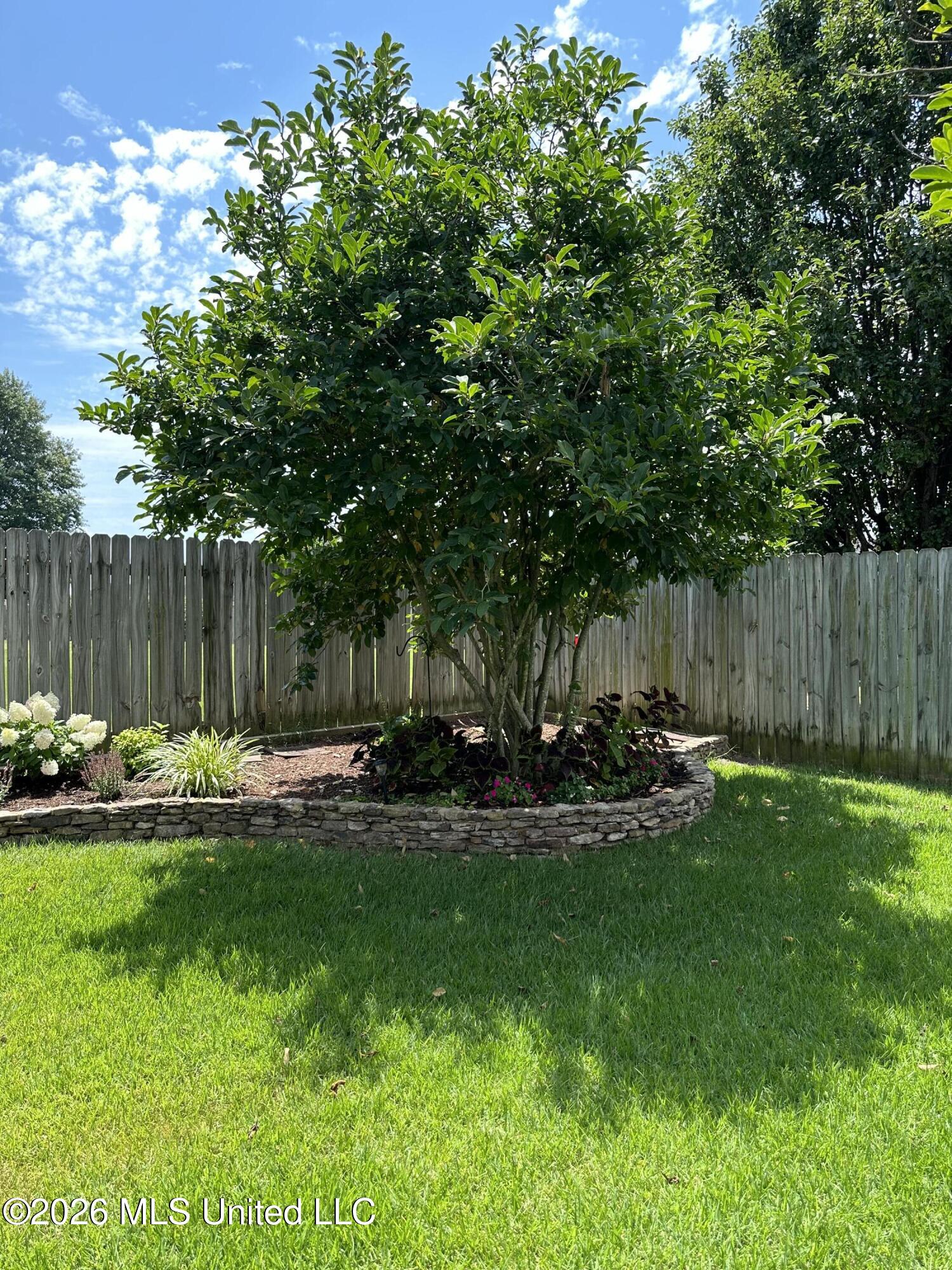 7740 Meadow Ridge Lane Olive Branch, MS 38654 - Photo 34 of 40 established landscaping