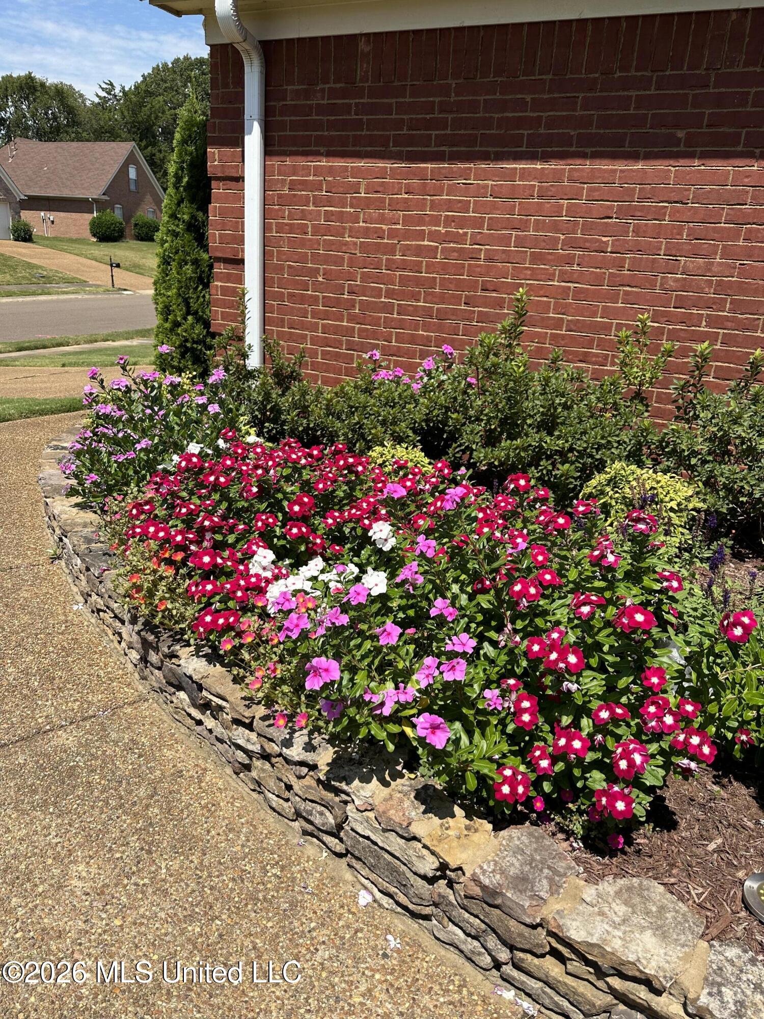 7740 Meadow Ridge Lane Olive Branch, MS 38654 - Photo 36 of 40 front walkway