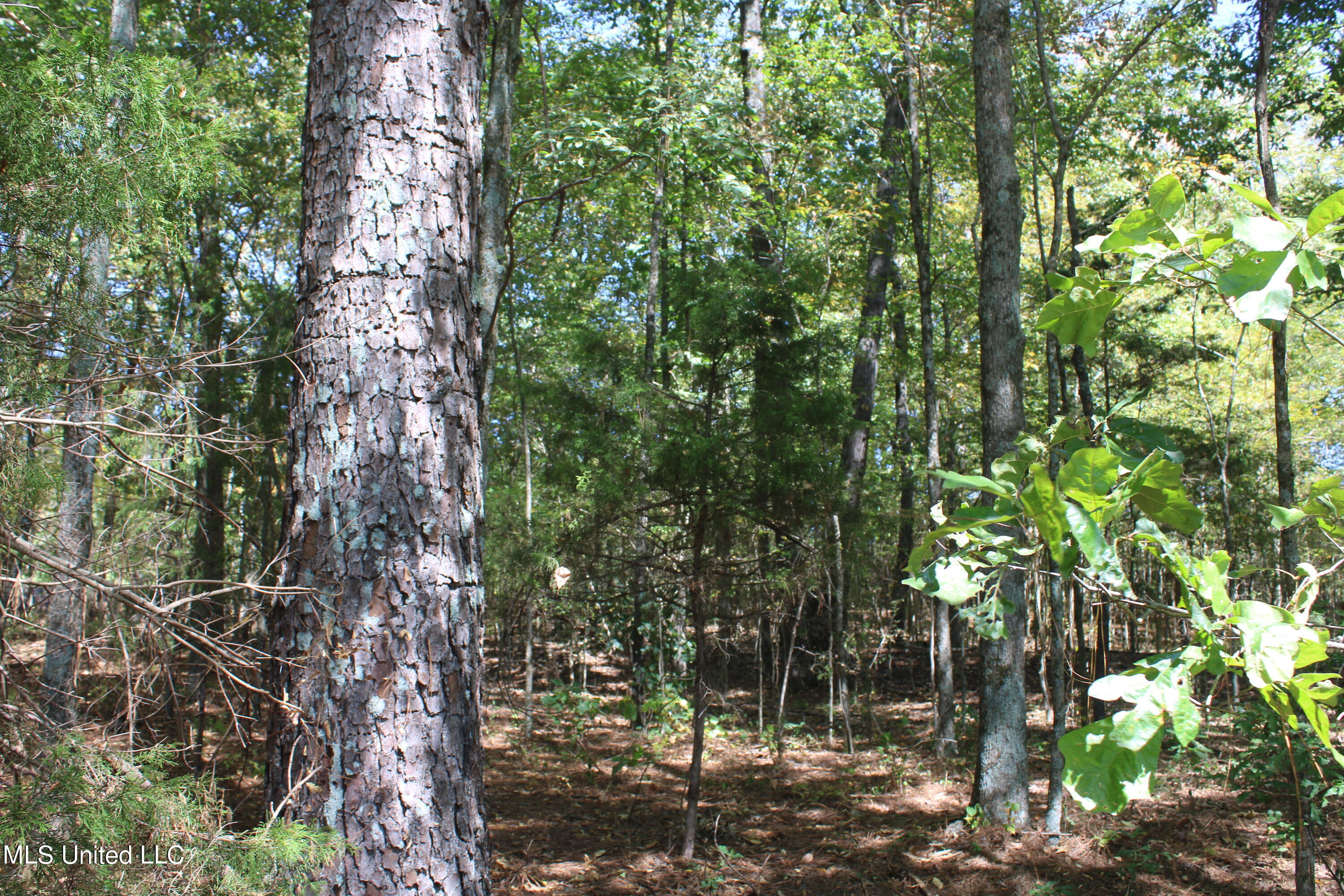 3 Hernando Road Holly Springs, MS 38635 - Photo 8 of 12 IMG_0063