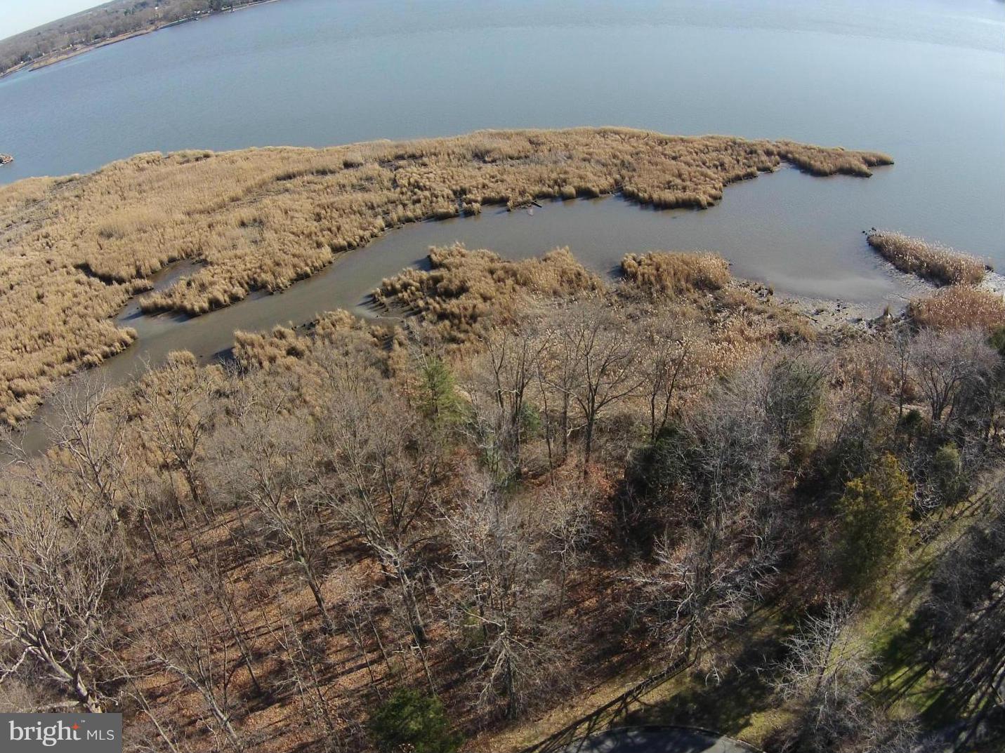 225 Birch Run Road Chestertown, MD 21620 - Photo 1 of 14 View