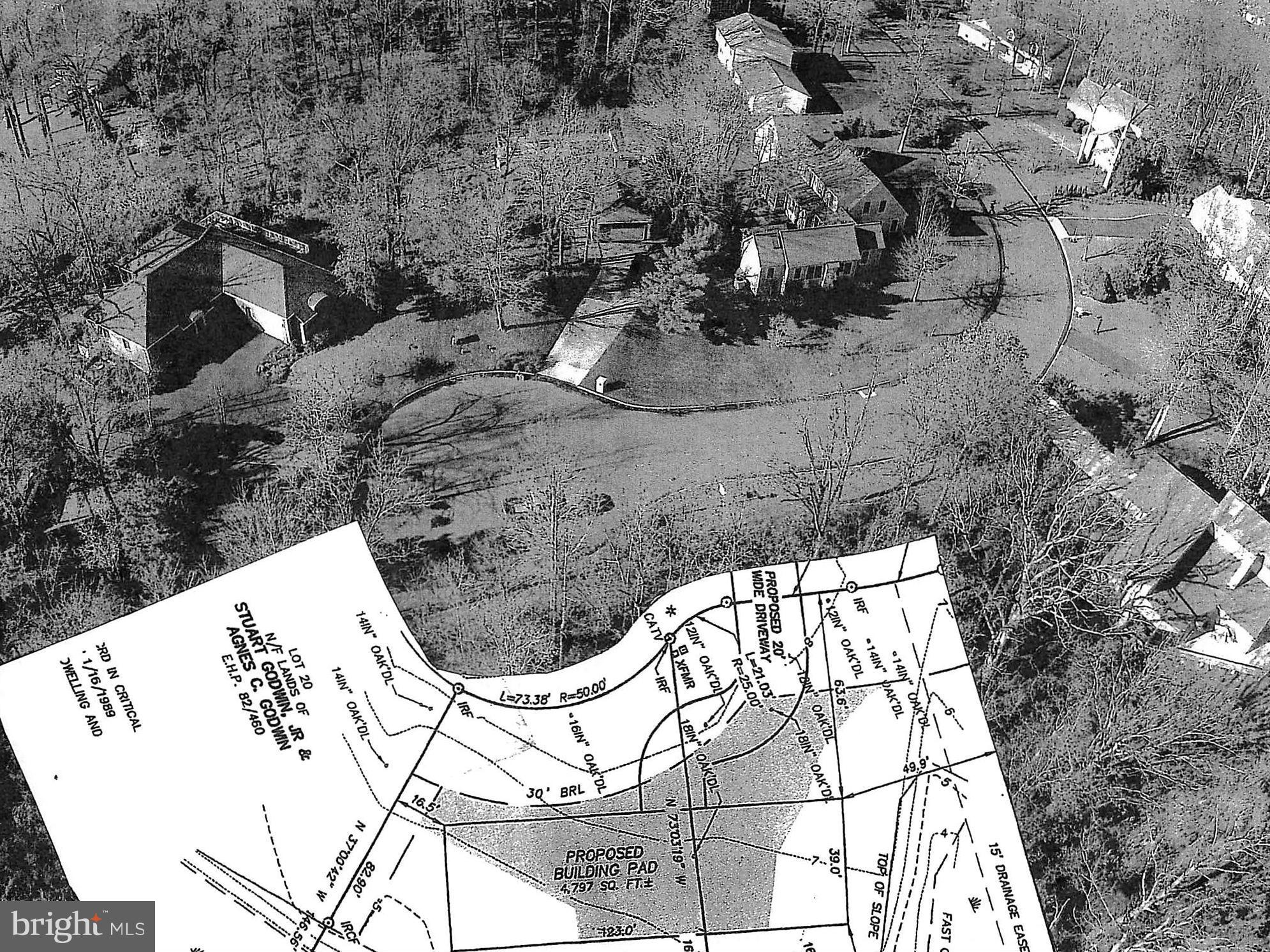 225 Birch Run Road Chestertown, MD 21620 - Photo 2 of 14 View
