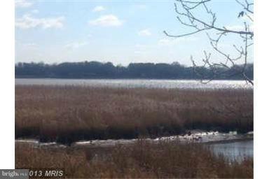 225 Birch Run Road Chestertown, MD 21620 - Photo 3 of 14 View